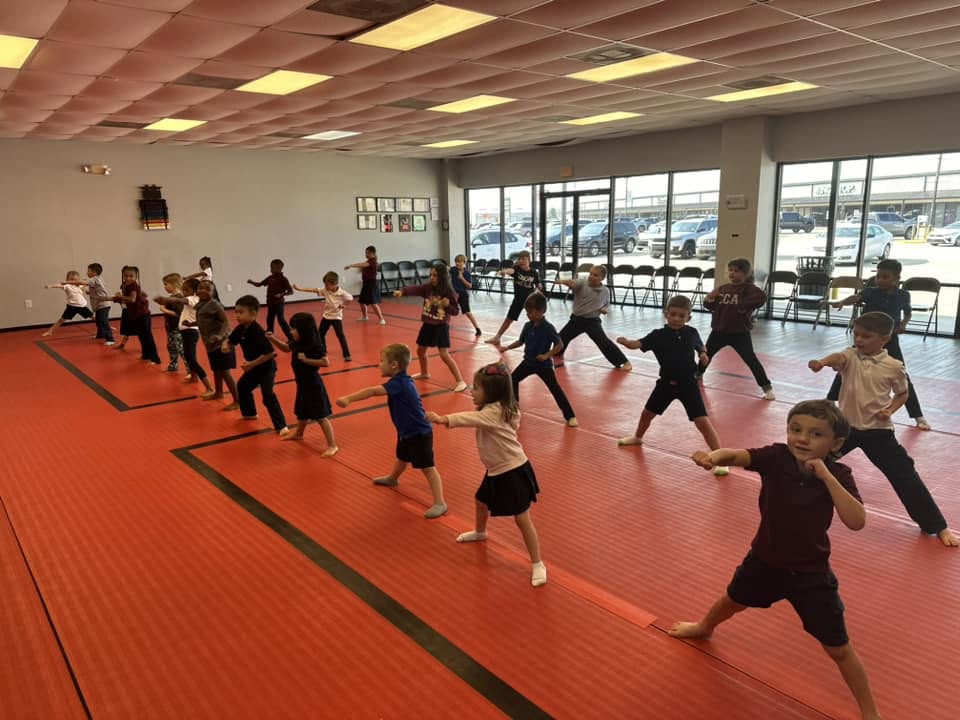 Group karate